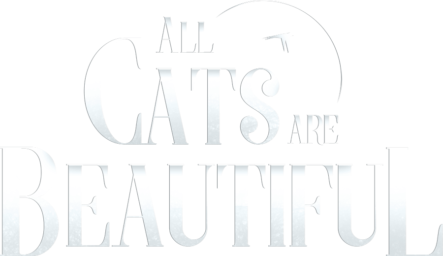all cats are beautiful